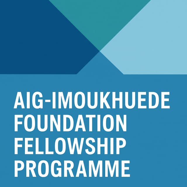 Aig-Imoukhuede Foundation Fellowship Programme