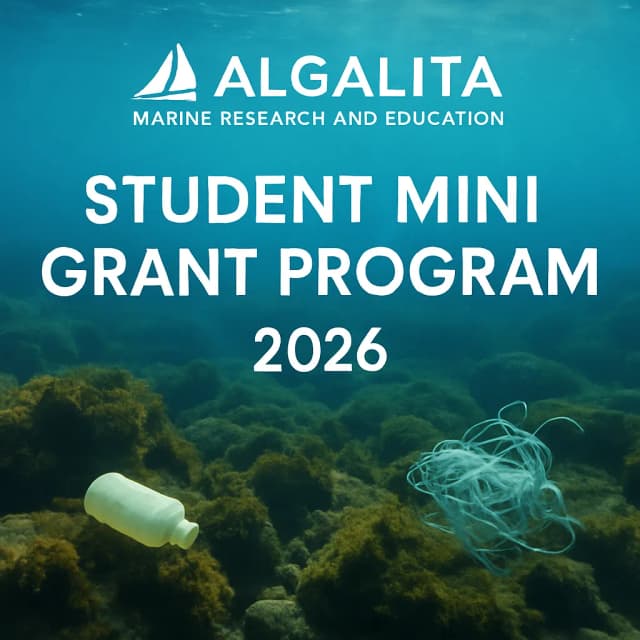 Algalita Marine Research and Education Student Mini Grant Program 2026
