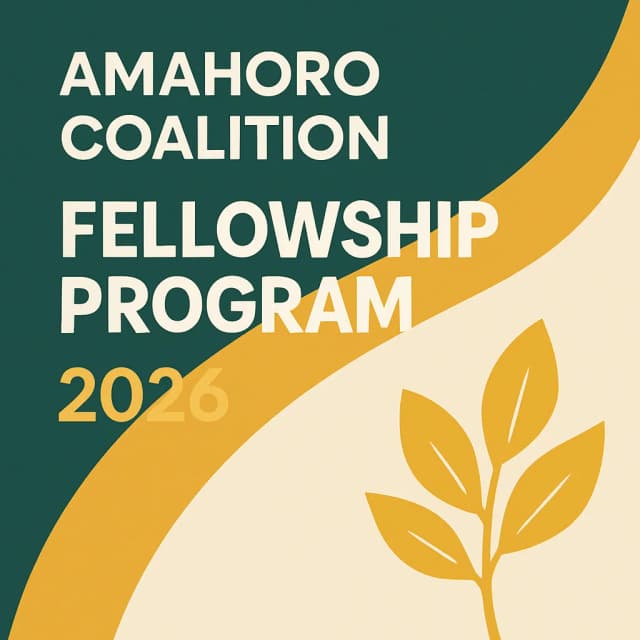 Amahoro Coalition Fellowship Program 2026