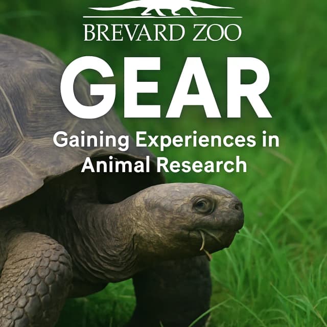 Brevard Zoo - GEAR
