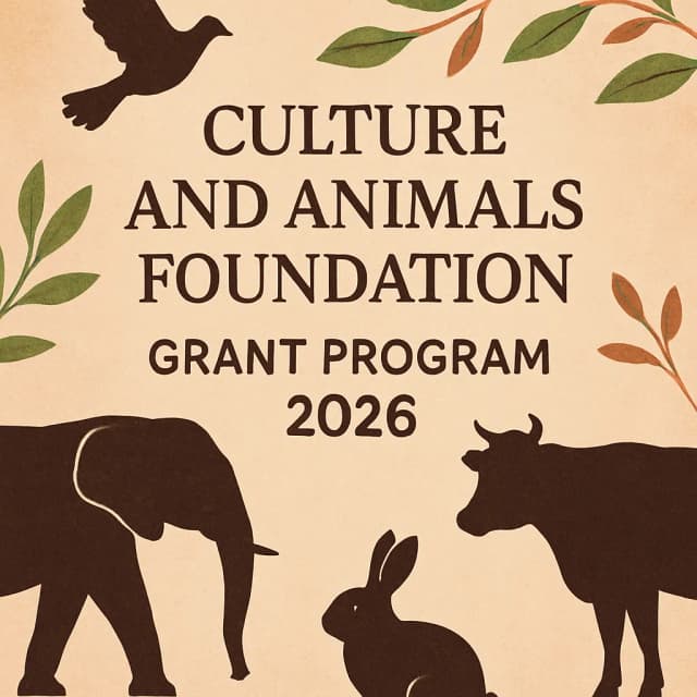 Culture and Animals Foundation Grant Program 2026