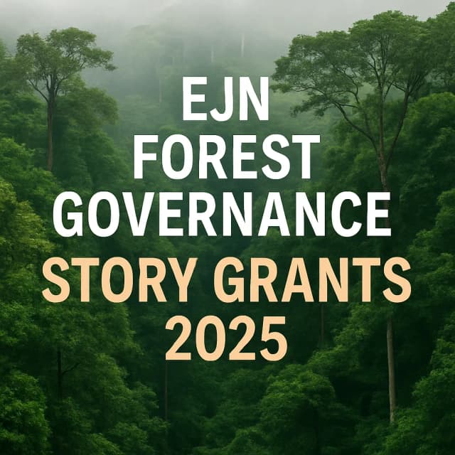 EJN Forest Governance Story Grants 2025
