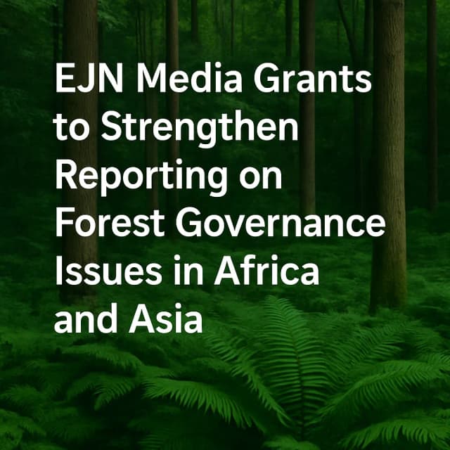 EJN Media Grants to Strengthen Reporting on Forest Governance Issues in Africa and Asia