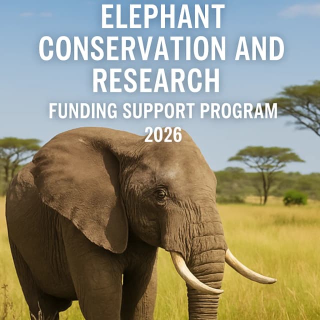 Elephant Conservation and Research Funding Support Program 2026