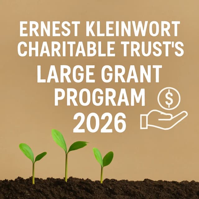Ernest Kleinwort Charitable Trustβs Large Grant Program 2026