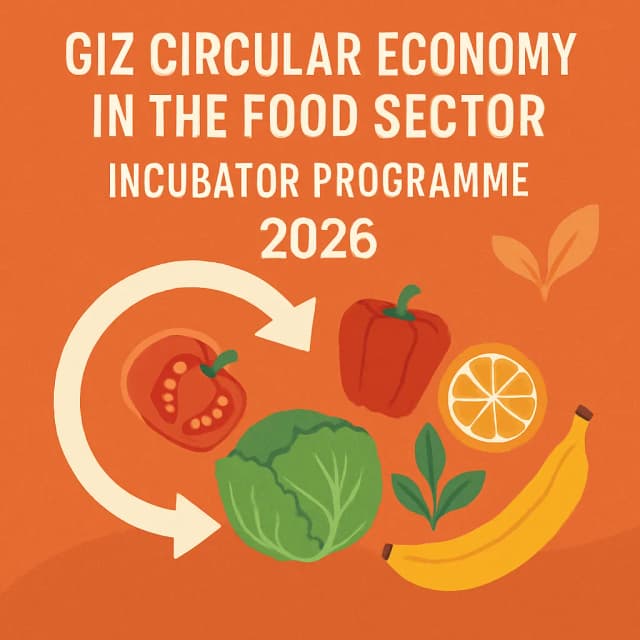 GIZ Circular Economy in the Food Sector Incubator Programme 2026
