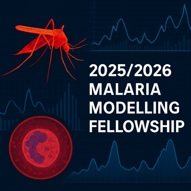 2025/2026 Malaria Modelling Fellowship