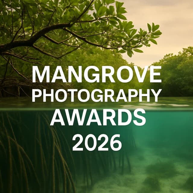 Mangrove Photography Awards 2026