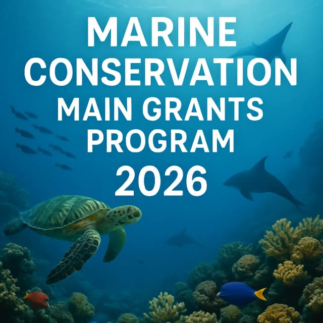 Marine Conservation Main Grants Program 2026