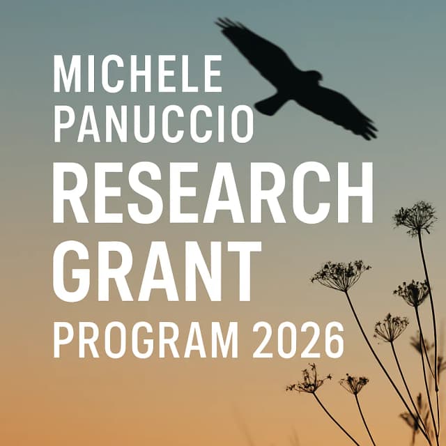 Michele Panuccio Research Grant Program 2026