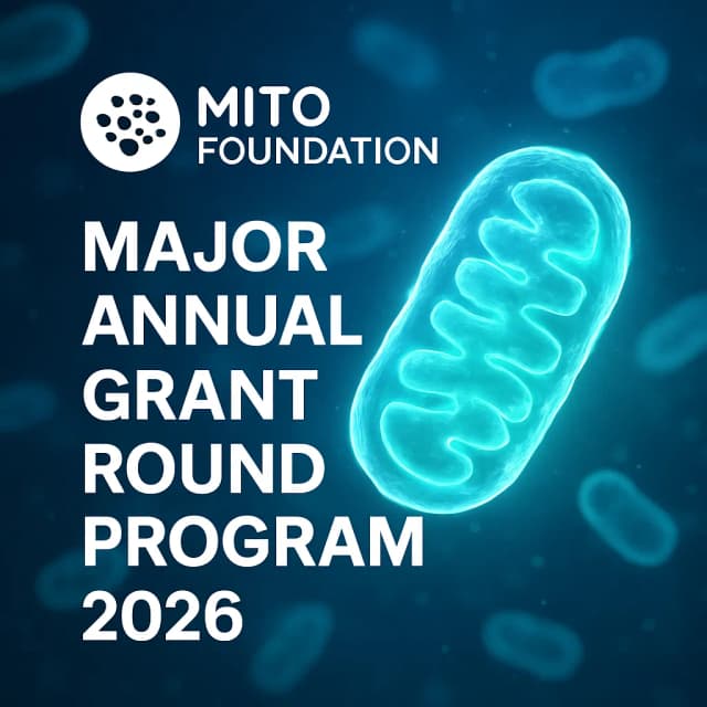 Mito Foundation Major Annual Grant Round Program 2026