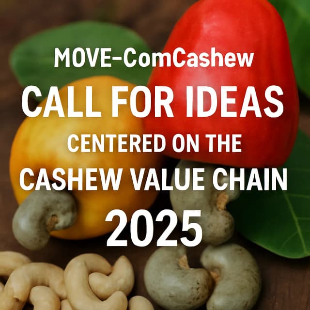 MOVE-ComCashew Call for Ideas centered on the Cashew Value Chain 2025