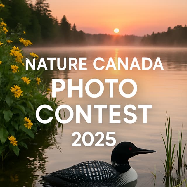 Nature Canada Photo Contest 2025
