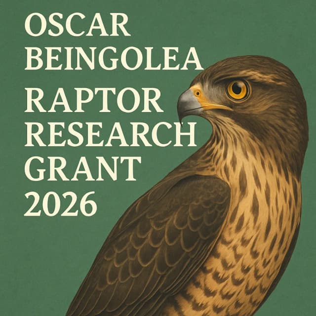 Oscar Beingolea Raptor Research Grant 2026
