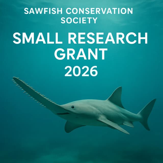 Sawfish Conservation Society Small Research Grant 2026