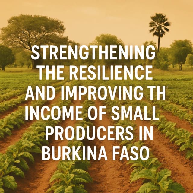 Strengthening the Resilience and Improving the Income of Small Producers in Burkina Faso