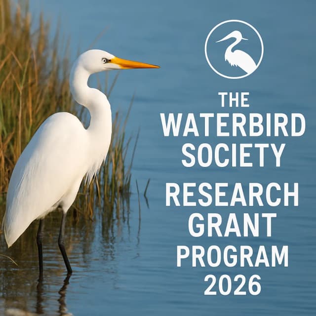 The Waterbird Society Research Grant Program 2026