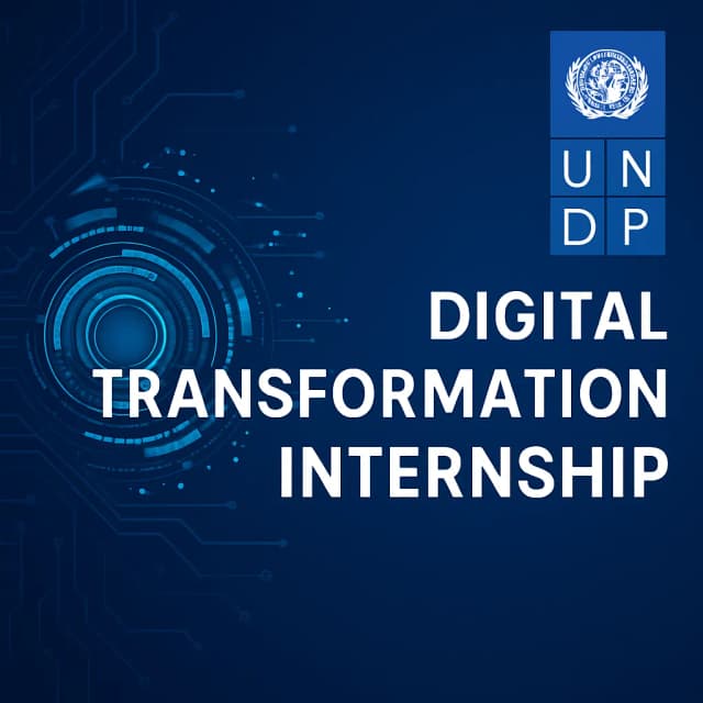 UNDP Digital Transformation Internship