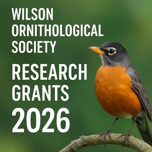 Wilson Ornithological Society Research Grants 2026