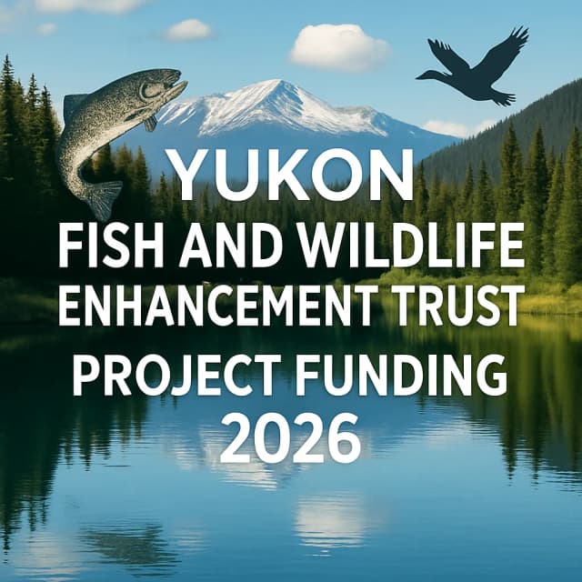 Yukon Fish and Wildlife Enhancement Trust Project Funding 2026