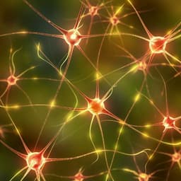 Ketamine activates adult-born immature granule neurons to rapidly alleviate depression-like behaviors in mice
