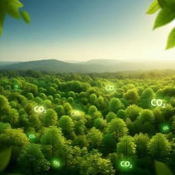 Forest expansion dominates China's land carbon sink since 1980