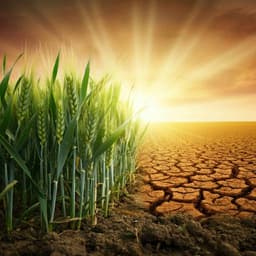 Conservation agriculture improves soil health and sustains crop yields after long-term warming