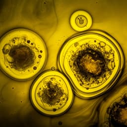 Exploring the Connection between the Occurrence and Intensity of "Grubby" Defect and Volatile Composition of Olive Oil