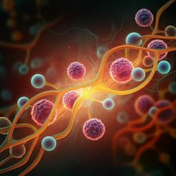 Sulforaphane alleviates psoriasis by enhancing antioxidant defense through KEAP1-NRF2 Pathway activation and attenuating inflammatory signaling