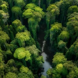 Amazon forests capture high levels of atmospheric mercury pollution from artisanal gold mining