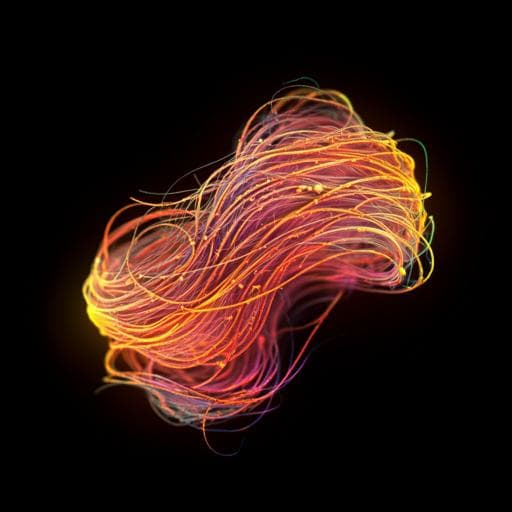 Ultralong phosphorescence cellulose with excellent anti-bacterial, water-resistant and ease-to-process performance