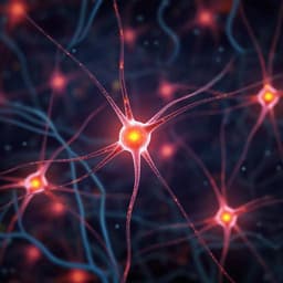 Adeno-associated viral vectors for functional intravenous gene transfer throughout the non-human primate brain