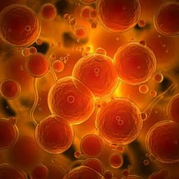 The effect of macromolecular crowding degree on the self-assembly of fatty acid and lipid hydrolysis