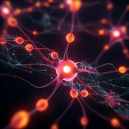 Fast, efficient, and accurate neuro-imaging denoising via supervised deep learning