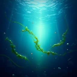 Photoacclimation by phytoplankton determines the distribution of global subsurface chlorophyll maxima in the ocean
