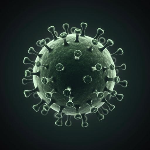 Assessment of African swine fever vaccine candidate ASFV-G-AMGF in a reversion to virulence study