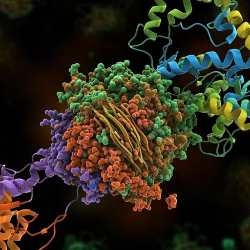 Molecular insights into receptor binding energetics and neutralization of SARS-CoV-2 variants