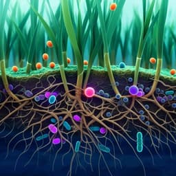 The response of wheat and its microbiome to contemporary and historical water stress in a field experiment