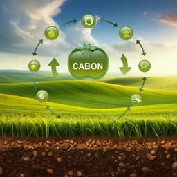 Maximizing soil organic carbon stocks through optimal ploughing and renewal strategies in (Ley) grassland