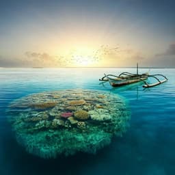 What do climate impacts, health, and migration reveal about vulnerability and adaptation in the Marshall Islands?