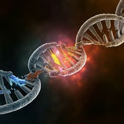 Efficacy of Olaparib in Treatment-Refractory, Metastatic Breast Cancer with Uncommon Somatic BRCA Mutations Detected in Circulating Tumor DNA
