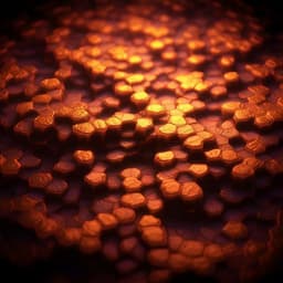 Disorder-induced bulk photovoltaic effect in a centrosymmetric van der Waals material