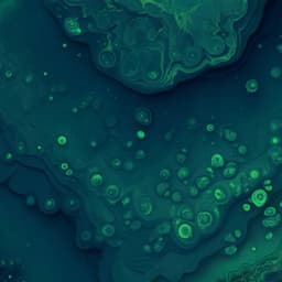 Patterns in the temporal complexity of global chlorophyll concentration