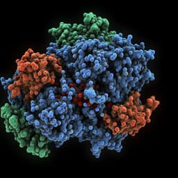 A small molecule compound with an indole moiety inhibits the main protease of SARS-CoV-2 and blocks virus replication