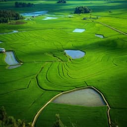 Enhancing rice production sustainability and resilience via reactivating small water bodies for irrigation and drainage