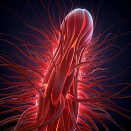 Formation of contractile 3D bovine muscle tissue for construction of millimetre-thick cultured steak