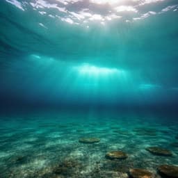 Marine heatwave as a supercharger for the strongest typhoon in the East China Sea
