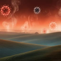SARS-CoV-2 test positivity rate in Reno, Nevada: association with PM2.5 during the 2020 wildfire smoke events in the western United States
