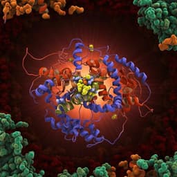 Key role of quinone in the mechanism of respiratory complex I
