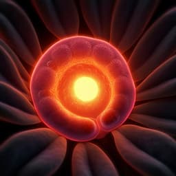 Mechanism of fertilization-induced auxin synthesis in the endosperm for seed and fruit development